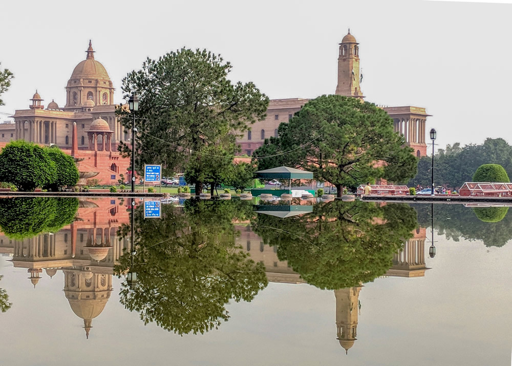 My Journey With Trees: Fascinating Photo Series By Dakshina Murthy